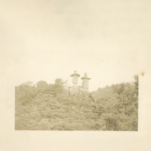 Lost Island album cover